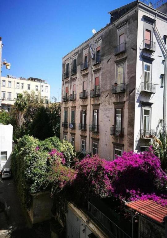 Domus Luigi Leone 2 Bed & Breakfast Naples Luaran gambar